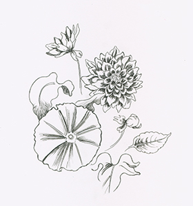 �t���[��