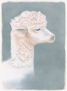 �t���[��