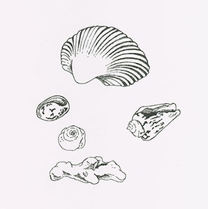 �t���[��