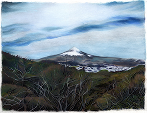 �t���[��