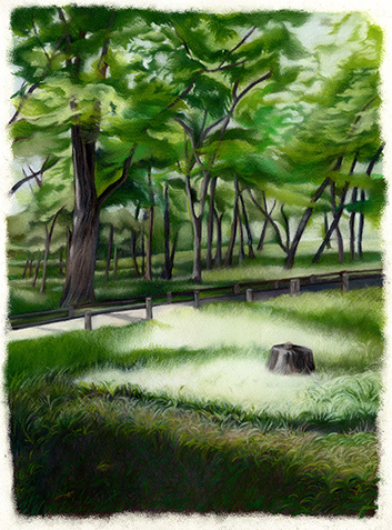 �t���[��