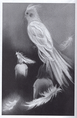 �t���[��