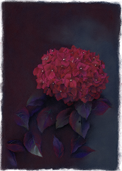 �t���[��