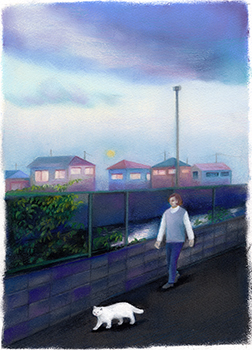 �t���[��