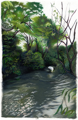 �t���[��