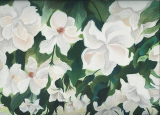 �t���[��