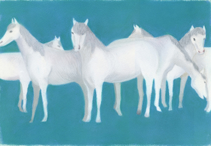 �t���[��