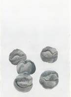 �t���[��