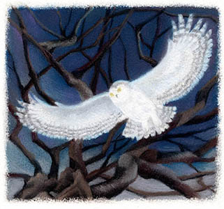 �t���[��