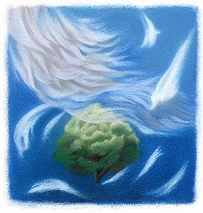 �t���[��