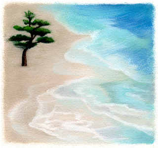 �t���[��