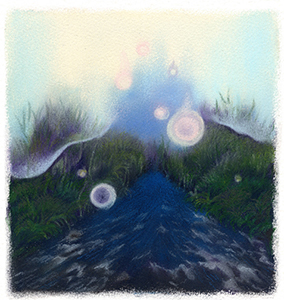 �t���[��