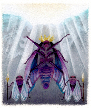 �t���[��