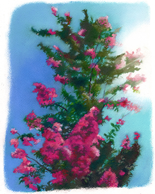 �t���[��