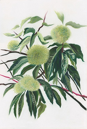 �t���[��